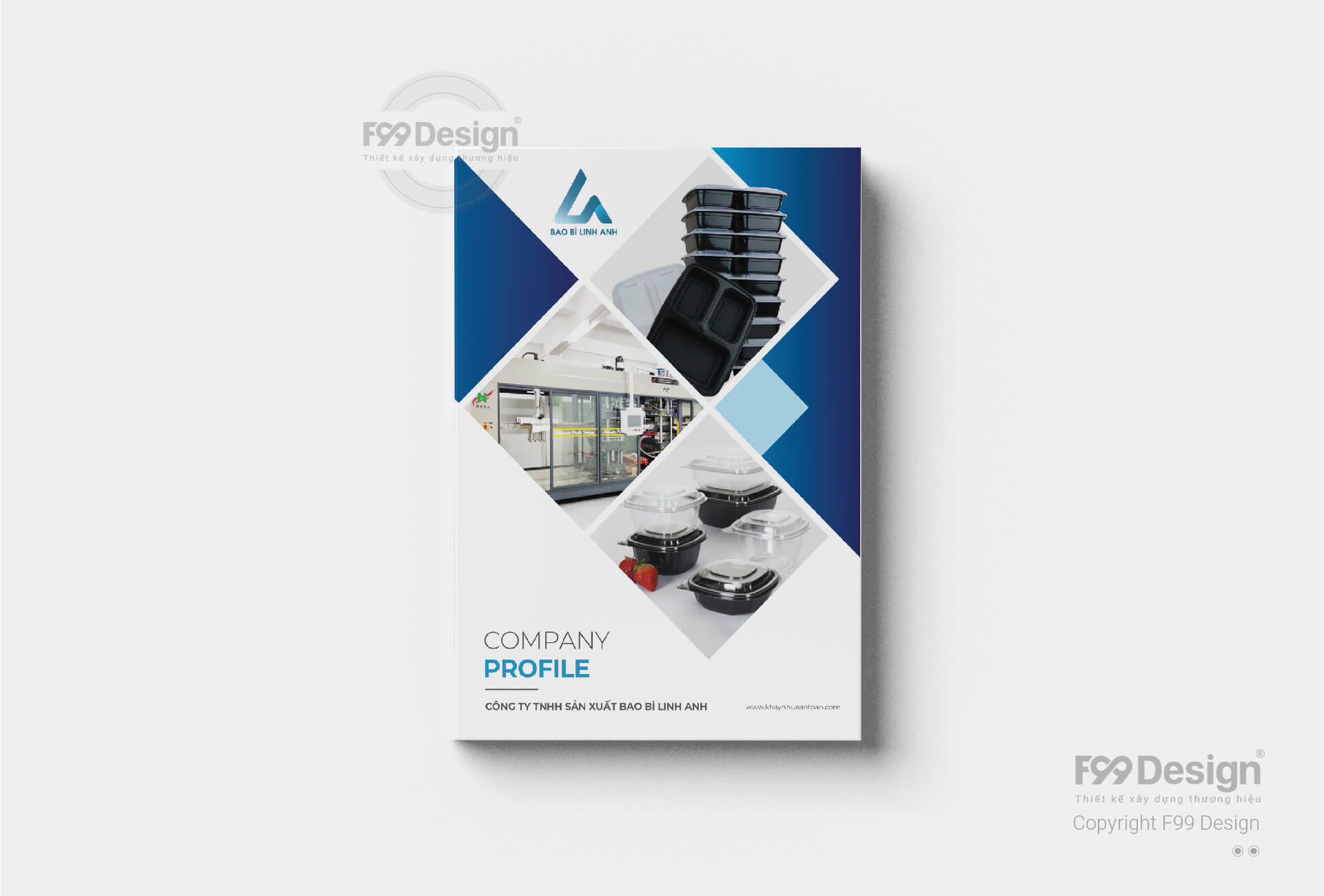 Hồ sơ công ty bao bì