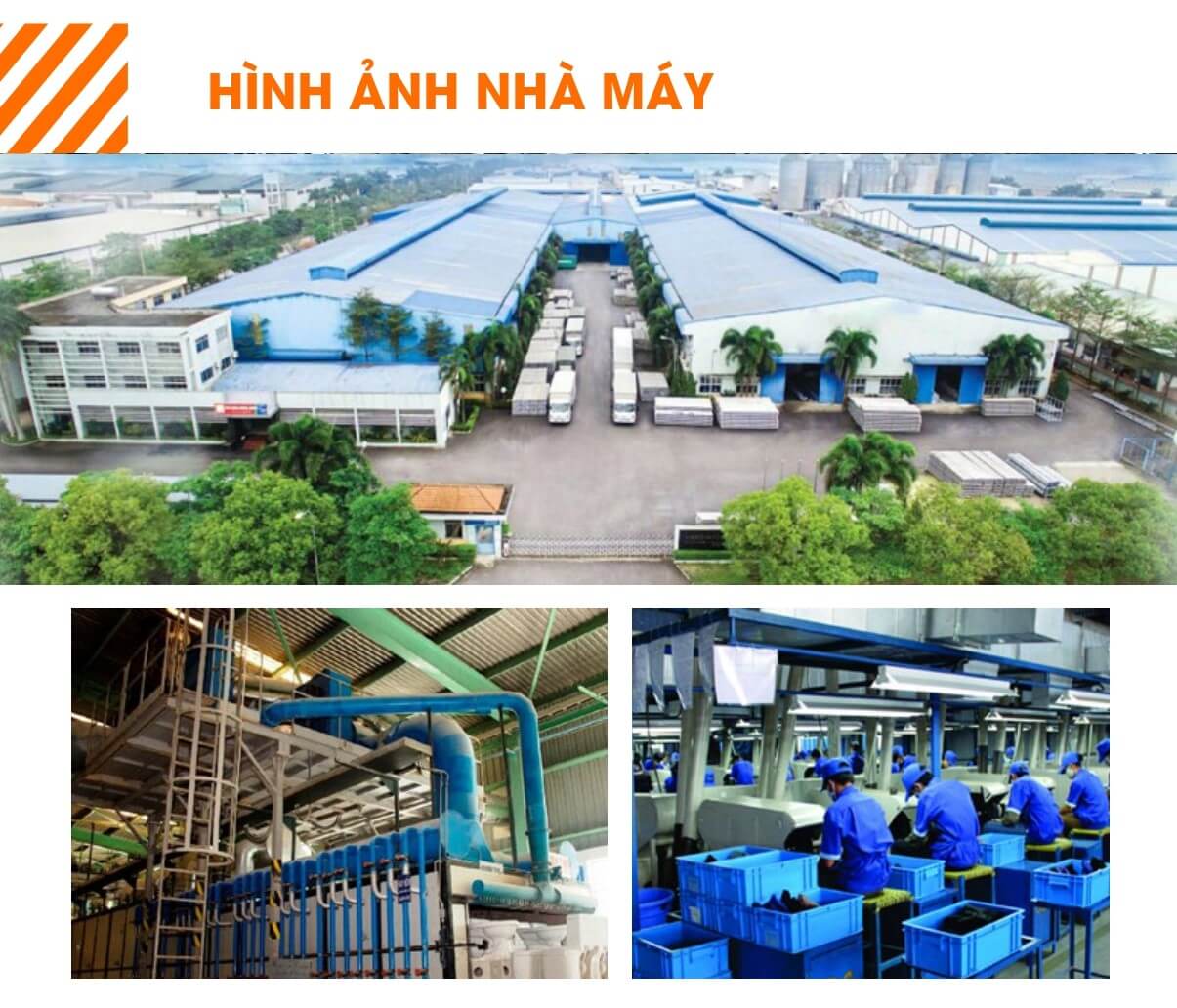 Cơ sở hạ tầng của công ty thiết bị vệ sinh