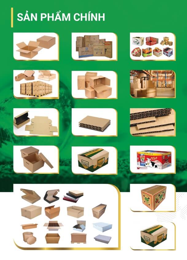 Sản phẩm công ty tiêu biểu
